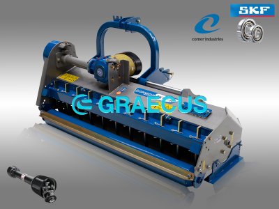 Graecus BK