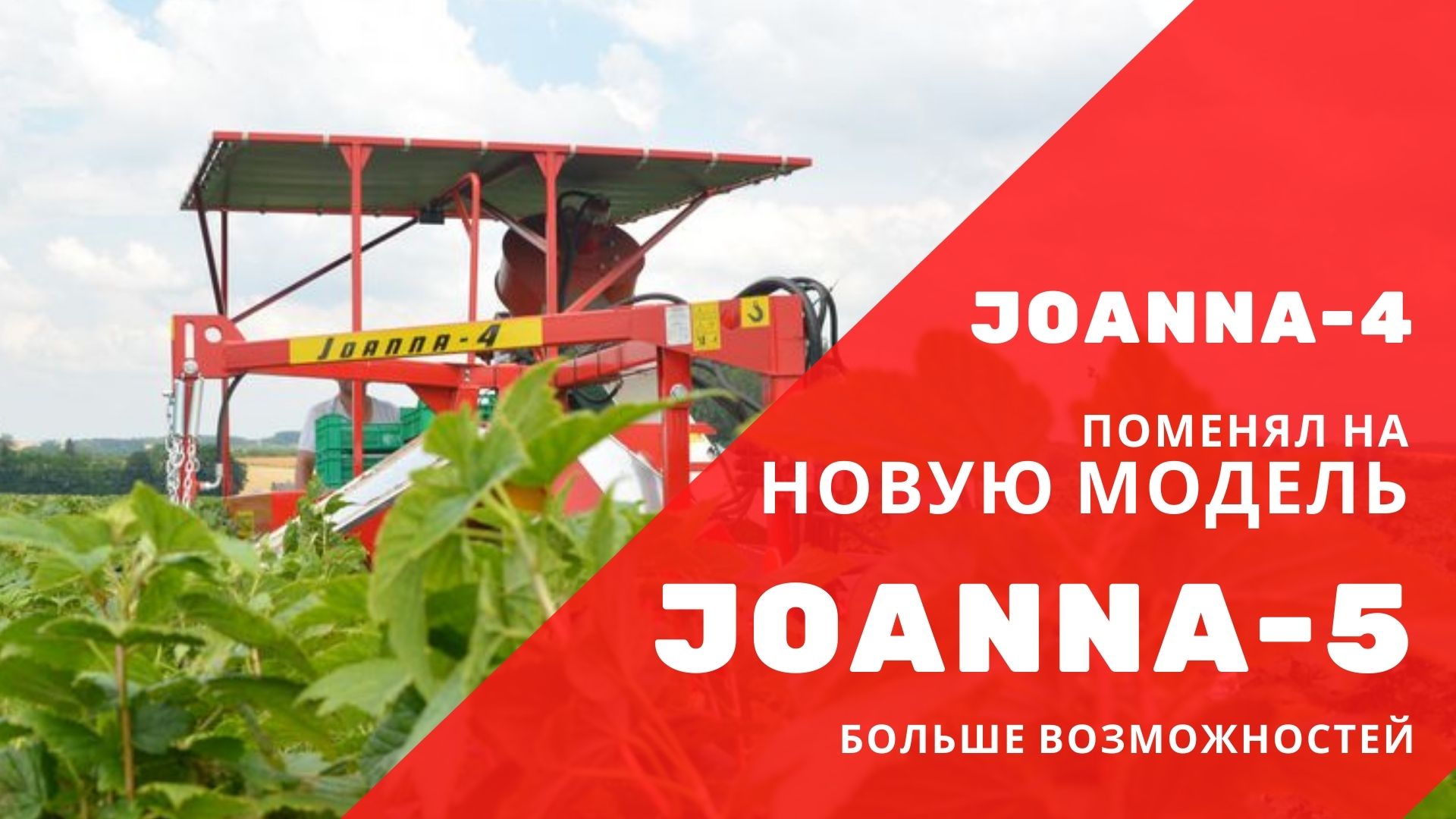 JOANNA-4