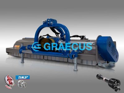 Graecus YBK