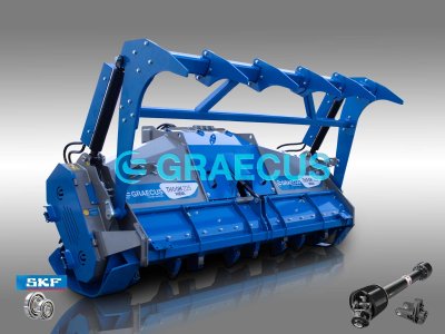 Graecus THOON-WIDIA